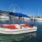 Benalmádena: Boat Rentals License-Free, Fish & Dolphins - Discovering the Benalmádena Coast and Its Wildlife