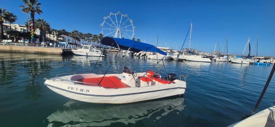 Benalmádena: Boat Rentals License-Free, Fish & Dolphins - Discovering the Benalmádena Coast and Its Wildlife