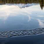 Bend: Moonlight and Starlight Canoe Tour - Starting Your Night at the Cascade Lakes