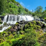 Bergen: Cruise to beautiful Rosendal by the Hardangerfjord - Starting Point and Departure Times in Bergen