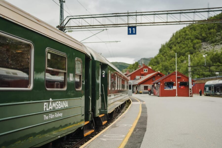 Bergen: Viking Village, Nærøyfjorden Cruise and Flåm Railway - Visiting Tvindefossen Waterfall