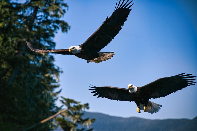 Bering Sea Crab Fisherman's Tour from Ketchikan - Starting Point and How to Find the Aleutian Ballad in Ketchikan