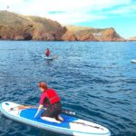 Berlengas Island Catamaran Tour + SUP - Exploring the Berlengas Natural Reserve