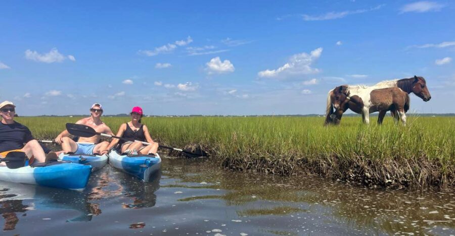 Berlin, MD: Full-, Half, or Quarter-Day Kayak Rental - Specifics of the Assateague Kayak Experience