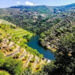 Best of Douro Valley Wine Full Day Private Tour - Scenic Drive Through the Douro Valley to Peso da Régua