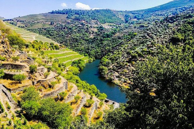 Best of Douro Valley Wine Full Day Private Tour - Scenic Drive Through the Douro Valley to Peso da Régua