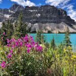 Best of Glaciers from Calgary/Canmore/Banff: Tour - Navigating the Days Itinerary