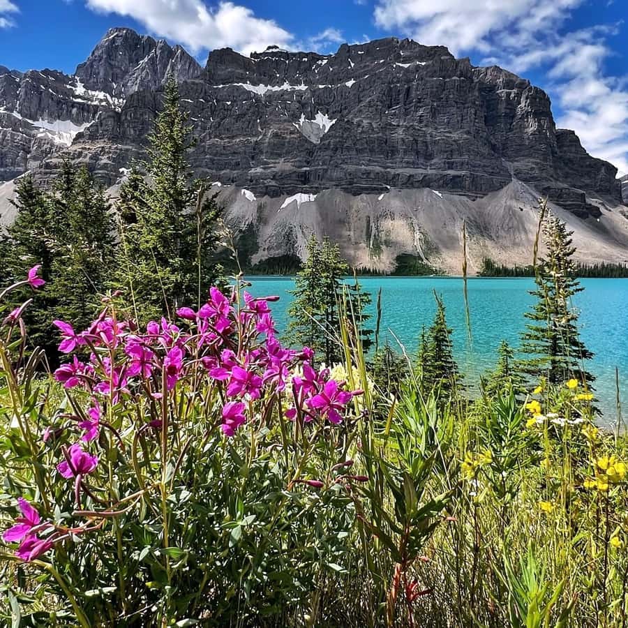 Best of Glaciers from Calgary/Canmore/Banff: Tour - Navigating the Days Itinerary