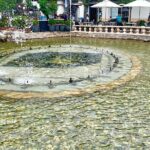 Best of LA, Hollywood, Griffith Park, Santa Monica & Venice Tour from Anaheim - Exploring Los Angeles’ Most Famous Landmarks