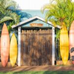 Best of Maui Tour: Sips, Sites and Bites with Lunch - The Scenic Drive Through Maui’s Upcountry and Historic Makawao