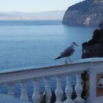 Best Of Naples Shore Tour In 1 Day: Pompei & Amalfi Coast & Limoncello Tasting - Discovering Positano’s Charm in a Short Visit