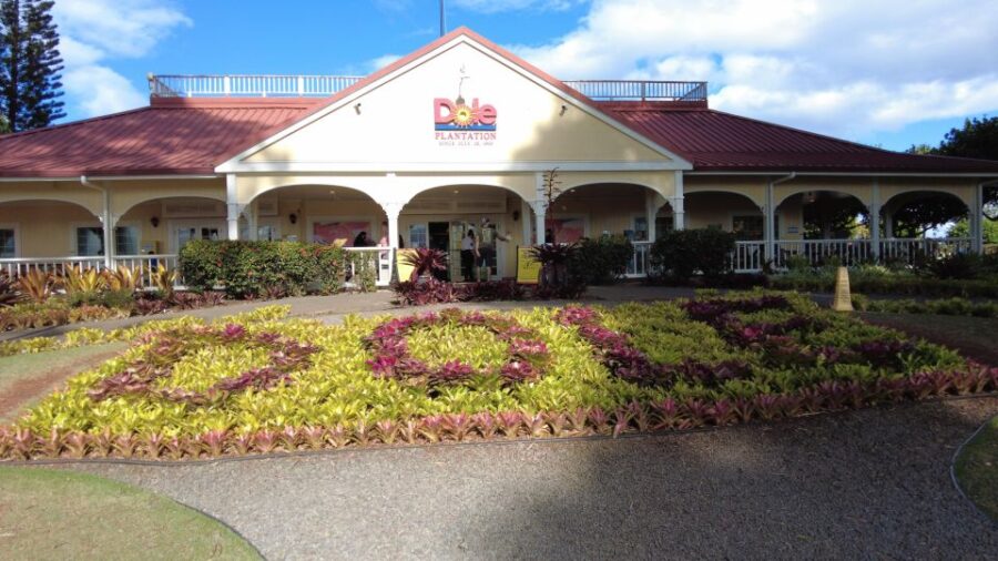 Best of Oahu in One Day - Special Stops: From Beaches to Temples