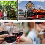 Best of SF: Wine Country, Redwoods, and Hop-on Hop-off Tour - Starting Point at Fisherman’s Wharf and Golden Gate Bridge Viewpoints