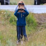 Best of Yellowstone - Guided National Park Safari Tour - The Grand Canyon of Yellowstone and Yellowstone Geysers