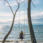 Best Selling Vancouver city Highlight Private Tour - Vancouver’s Natural Beauty at Stanley Park