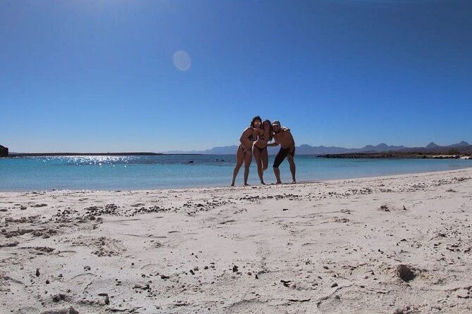 Best Tour to Coronados Island - From the Marina to the Sea of Cortez Wildlife Sightings