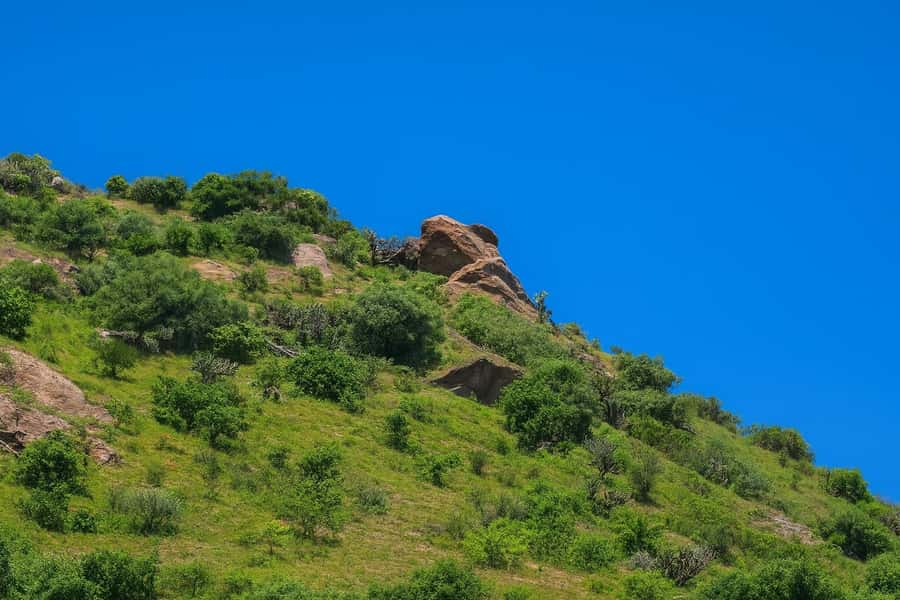 Between haciendas and temples: a tour of the mining heart of Pastita - Starting at Plaza de la Paz: The Heart of Guanajuato’s Origins
