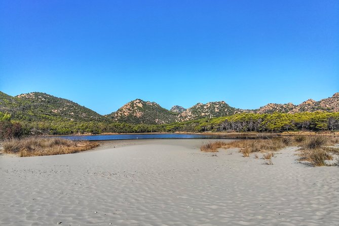 Biderosa and Capo Comino Beach Tour - Starting from Orosei: Convenient Pickup and Itinerary