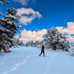Big Bear Lake Snow Play Adventure - Meeting Point and Tour Schedule in Big Bear