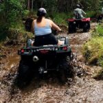 Big Island ATV Tour at Ohana Ranch - Farm Stops for Fresh Fruit and Animal Encounters