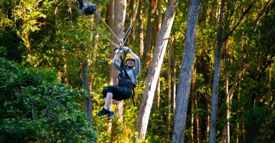 Big Island: Full-Day Kohala Zipline and Waterfall Adventure - Ziplining Through Kohala’s Canopy With Certified Guides