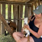 Big Island: Hand Feed & Cuddle Baby Goats - Location and How to Find Ohana Ranch