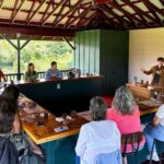 Big Island Hawaii: Craft Chocolate Tasting and Farm Tour - Location and How to Find Honolii Orchards