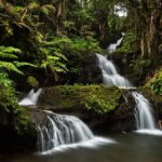 Big Island Hawaii Self-Guided Driving Tour - Unique Stop at the Kilauea Ave Singing Steel Grid