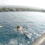 Big Island Kealakekua Bay: Captain Cook Snorkel Cruise - Starting Point and How to Join the Cruise