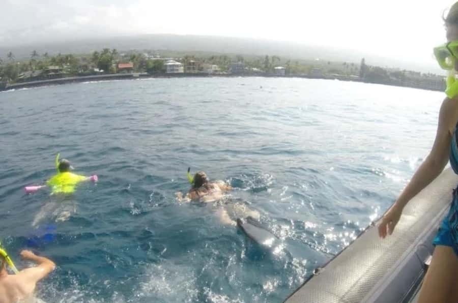 Big Island Kealakekua Bay: Captain Cook Snorkel Cruise - Starting Point and How to Join the Cruise