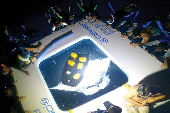 Big Island, Kona Manta Ray Night Snorkel Tour - Snorkeling Equipment and Wet Suit Rentals