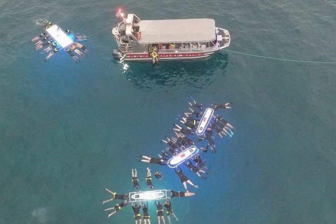 Big Island Manta Ray Night Snorkel - Snorkeling with Manta Rays: The Water Experience