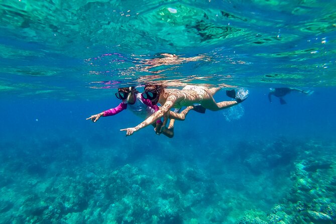 Big Island Snorkel Cruise from Waikoloa - Guided Snorkel Instruction and Marine Life Briefing