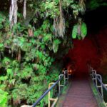 Big Island: Volcano, Black Sand Beach, Waterfall, with Lunch - Starting in Hilo: Pickup and Logistics