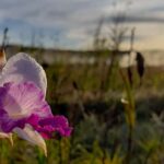 Big Island: Volcanoes National Park Private Tour - View the Transformed Halemumau Crater and Recent Lava Changes