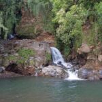 Big Island Zipline over KoleKole Falls - The Seven Zip Lines: From Practice to the Dramatic Finale