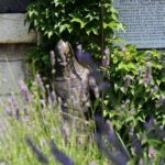Big Picture of Belgrade - Fortress With a View - Inside the Fortress: Walls, Gates, and Underground Chambers