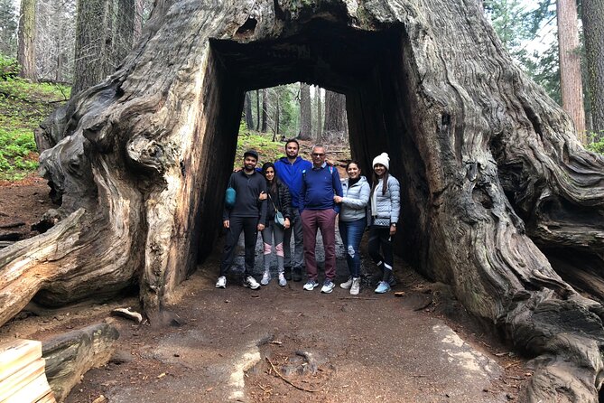 Big Trees Hike & Riverside Cookout Adventure - Meeting Points and Logistics