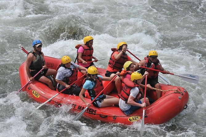 Bighorn Sheep Canyon (FREE Lunch, Digital Photo, and Wetsuit Use) - What to Expect on the Half-Day River Trip