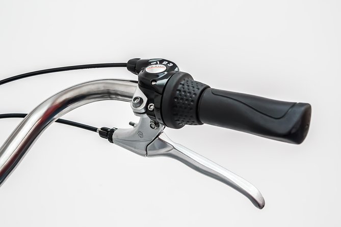 Bike Rental in Amsterdam - Quality Bikes and Safety Checks You Can Trust