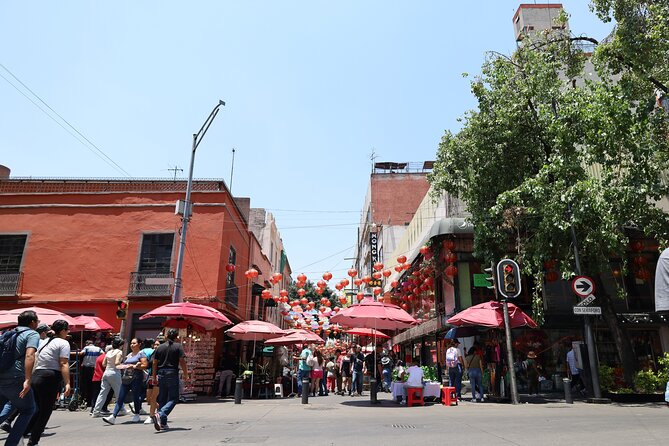 Bike Tour through Chapultepec, Reforma and the Zócalo / Mexico - Cycling in the Bosque de Chapultepec