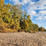 Bike Tour Toronto Harbourfront and Toronto Islands (Economical) - Ferry Ride to the Peaceful Toronto Islands
