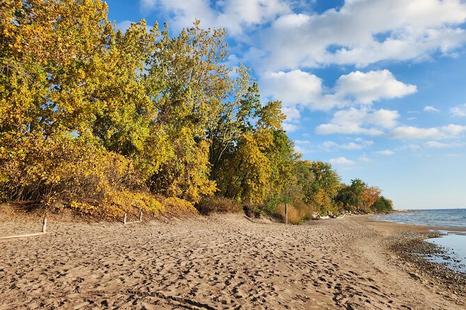 Bike Tour Toronto Harbourfront and Toronto Islands (Economical) - Ferry Ride to the Peaceful Toronto Islands