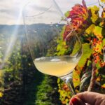 Bike & Wine tour in Dealu Mare wineland - Exploring Conacul Bellu: A Historic Stop