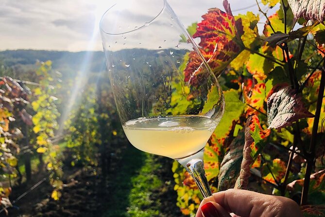 Bike & Wine tour in Dealu Mare wineland - Exploring Conacul Bellu: A Historic Stop