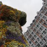 Bilbao and Guggenheim Museum Private tour - Meeting and Pickup in San Sebastian or Bilbao