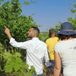 Biodynamic Farm and Natural Wines Tasting in Lazise - Meeting Point and Tour Schedule in Lazise