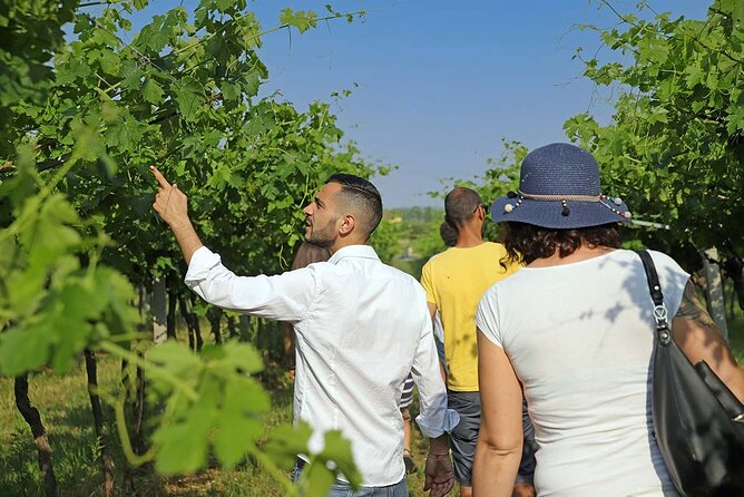 Biodynamic Farm and Natural Wines Tasting in Lazise - Meeting Point and Tour Schedule in Lazise