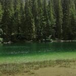 Biogradska Gora National Park Tour with Optional Add-Ons - Starting Point: From Podgorica to Montenegro’s Natural Wonder