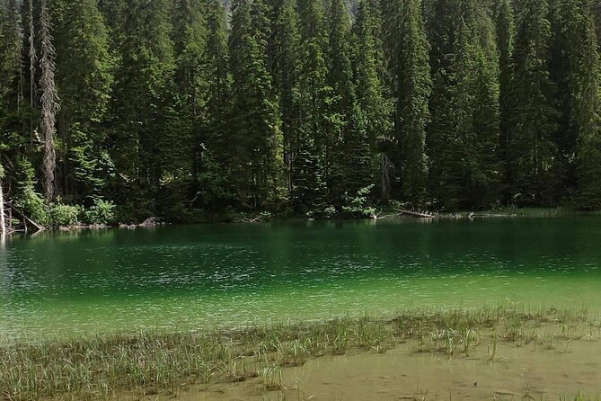 Biogradska Gora National Park Tour with Optional Add-Ons - Starting Point: From Podgorica to Montenegro’s Natural Wonder